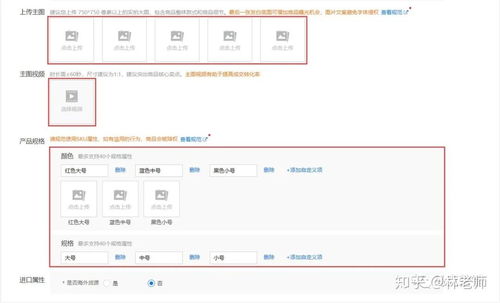 1688新品發布七星優化技巧