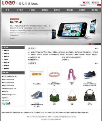 網新中英多國語言CMS v11.9