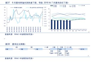 萬字干貨 蘋果 玉米 油脂 棉花 農產品后市運行邏輯及交易策略展望