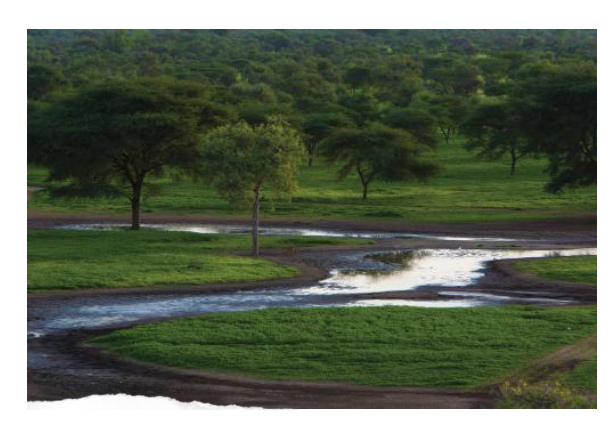 自動草稿 自動草稿