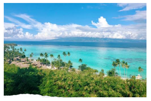 自動草稿 自動草稿