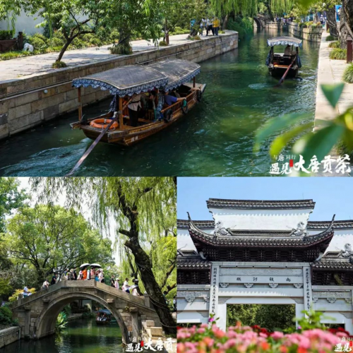 品讀茶香古韻,暢享美好生活!當大唐財富遇見大唐貢茶 品讀茶香古韻,暢享美好生活!當大唐財富遇見大唐貢茶