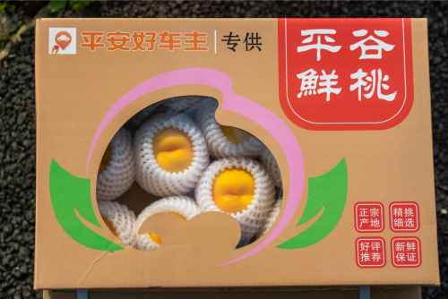 自動草稿 自動草稿